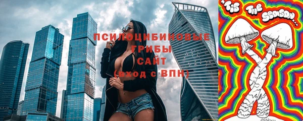 соль ск Вяземский