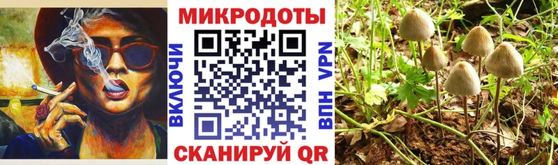 Галлюциногенные грибы Magic Shrooms  Зубцов 
