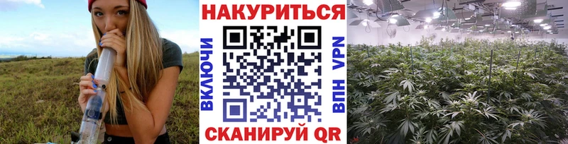 Каннабис Amnesia  что такое   Зубцов 